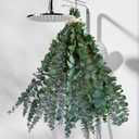 20Pcs Dried Eucalyptus for Shower Hanging-17''Preserved Real Fresh Eucalyptus Stems for Green Home Decor,100%Made from Fresh Eucalyptu Leaves Plant,Bathroom Shower Decor,Wedding Decor