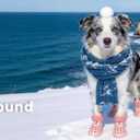 Dog Shoes for Hot Pavement - Comfortable Paw Protection for Medium & Large Dogs, Adjustable Strap & Non-Slip, Easy-Clean, Outdoor Sports Boots, Dog Booties for Summer Rain (Pink, M)
