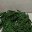 2-Pack Christmas Norfolk Pine Garland, 9ft Real Touch Garland,Artificial Winter Green Realistic Greenery Garlands for Mantle, Table, Wall, Indoor, Outdoor Xmas Decorations