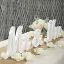 Mr & Mrs Signs Rustic Wooden Freestanding Letters for Photo Props, Anniversary & Wedding Shower Gift (White)