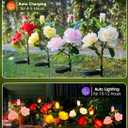 Brightown Outdoor Solar Garden Lights - 4 Pack LED Flower Lights with Realistic Rose, Bigger Solar Panel, Waterproof for Yard & Patio Decorations