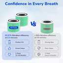 Fil-fresh Core 300 Replacement Filter, Compatible with LEVOIT 300 and Core 300S Air Purifier, Smoke Removal, H13 True HEPA Filters and Activated Carbon, Replace Core 300-RF-TX, 2-Pack (7.56*5.8*7.56 inch, Green)