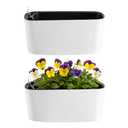 2 Packs 16 Inch Large Rectangular Self Watering Pots for Indoor Plants Window Planter Box Rectangle Planters Plastic Plant Pots Flower Box Windowsill Planter Long Planters for Herb& Vegetable, White