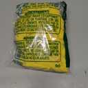 Lion Mascot Back to School Spirit Sports Men Women Groovy T-Shirt S