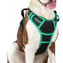 rabbitgoo Dog Harness No Pull with 2 Leash Clips, Adjustable Soft Padded, Reflective Oxford No Choke Pet Vest with Easy Control Handle for Large Dogs, Black & Turquoise, L