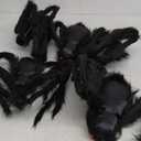 Halloween Giant Spider Decorations: 35/49/79 Inches Large Fake Scary Hairy - 3PCS Huge Plush Toy Props for Indoor Outdoor Creepy Lawn Garden Decor Black
