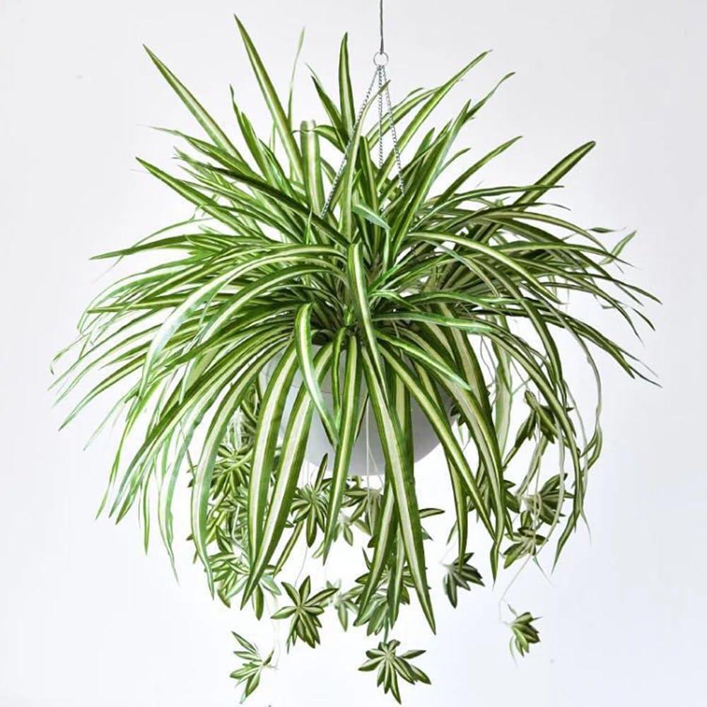 5 Packs Artificial Spider Plant Silk Faux Chlorophytum Comosum Fake Spider Hanging Plant for Outdoor Indoor Home Garden Office Decoreation
