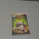 Kung Fu Panda 4 - Collector's Edition [DVD]