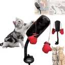 Cat Punching Bag Toy  Interactive Cat Boxing Toy with Springy Bobbing Action, with Dangling Boxing Gloves, Punching Bag Play Gym, Action Indoor Kitten Exercise and Fun Activity