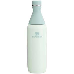 Stanley All Day Slim Bottle 20 oz | Twist On Lid with Leakproof Seal | Slim Design for Travel & Gym | Insulated Stainless Steel | BPA-Free | Mist