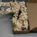 6Pcs Delphinium Artificial Flowers 37.4 Champagne Fake Silk Flowers Long Stem Faux Snapdragon Flowers for Vase Table Home Wedding Party Garden Decoration(Champagne)