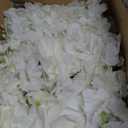 Artificial Cherry Blossom Rose Wedding Arch Flowers, Wedding Welcome Signs Floral Greenery Arrangements, Fake Flower Garland Green Leaves Rose for Home Decor Ceremony Backdrop Decor (Main flower)
