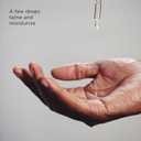 The Art of Shaving Premium Beard Oil for Men, 99% Plant-Based Oils, Citrus Mint Basil Essential Oils, 1 fl. oz.