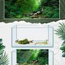 Breling 48 x 18 Inch 4 Pcs Reptile Tank Background,Habitat Scenes, Style3