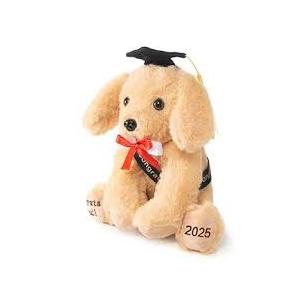 2-pk class of 2025 graduation bear and puppy  with cap and diploma 10 in.