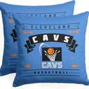 Northwest Pillow 18inch 2 Packs