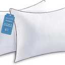 JOLLYVOGUE Pillows Queen Size Set of 2 for Sleeping, Soft and Supportive Bed Pillow with Down Alternative Filling for Side and Back Sleepers, Hotel Collection, 30x20 Inches (01 - Classic Design)