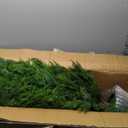 6FT Artificial Topiary Cedar Plants Outdoor, Faux Pine Trees UV Resistant and Potted, 72 Inch Tall Fake Shrubs Evergreen for Front Porch Decor Set of 2