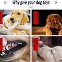 16Pcs Dog Toys Looks Like Real Food Dog Toys for Aggressive Chewers Dogs Teething Toy for Puppies Cute Puppy