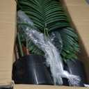 Jexine 4 Pack Artificial Palm Trees 3Ft, Fake Plants Fake Trees Artificial Areca Palm Plants for Outdoor Indoor Faux Tree in Pot for Pool Home Decor Office Housewarming Gift Modern Decoration