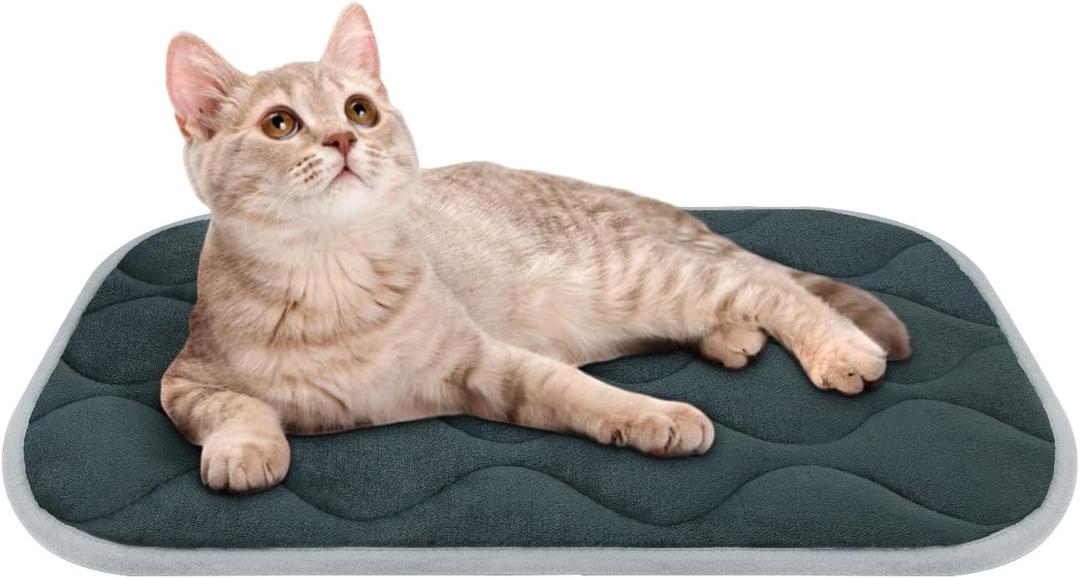 furrybaby Dog Bed Mat Flat Crate Mat with Anti-Slip Bottom Machine Washable Pet Kennel Pad for Dog Sleeping (XS 22x13'', Grey Mat)