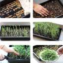 Mr. Pen- Plastic Growing Trays, 5Pack, Black, 17x10, Plant Tray, Seed Tray, Seedling Tray, Propagation Tray, Plant Trays for Seedlings, Planting Trays, Microgreens Growing Trays, Seedling Starter Tray