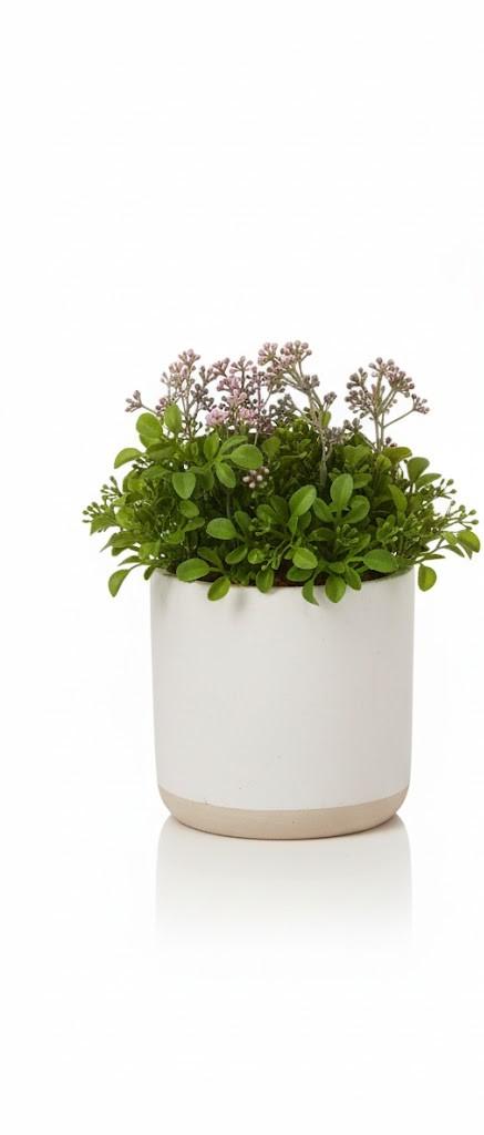Faux Potted Plant Decor, Realisitic Green Foilage and Flower in White Ceramic Pot, Perfect for Home and Office