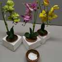 Nearly Natural Phalaenopsis Orchid with Clay Vase (Set of 4)