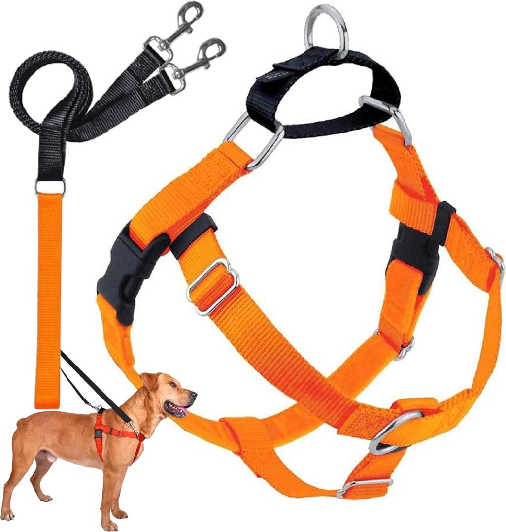 2 Hounds Design Freedom No Pull Dog Harness, Adjustable Harness and Leash Set, Easy Walking & Comfortable Control, Fits Small, Medium & Large Dogs, Solid Colors, Made in USA, 1" MD, Neon Orange