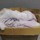 Bed Canopy with Star Lights, Double Layer Canopy for Bed, Princess Play Tent for Girls Room, Breathable Canopy Bed Curtain for Children Reading Nook, Machine Washable Canopy, 25.6''x106'', Purple