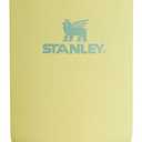 Stanley IceFlow Flip Straw Tumbler with Handle 30 oz | Twist On Lid and Flip Up Straw | Leak Resistant Water Bottle | Insulated Stainless Steel |BPA-Free | Pomelo