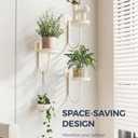 Bamworld Wall Plant Holder Wall Planters for Indoor Plants Plant Hanger Indoor Window Plant Shelves Hanging Plant Holder Window Plant Hanger Plant Decor White 3pcs