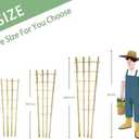 Natural Bamboo Trellis, 4.8Feet,3Pack,Fan-Shaped Plant Support Trellis for Outdoor and Indoor Potted Climbing Plants,Vegetables, Cucumber, Tomato, Hoya,