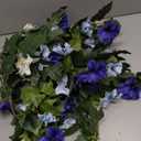 Ammyoo Artificial Fake Petunia Flowers for Outdoor Decoration, 2PCS Faux Silk Petunias Flower for Spring UV Resistant No Fade Realistic Plants for Garden Balcony Yard Porch Indoor Decor(Blue White)