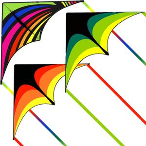 Kites for Kids and Adults, Easy to Fly for Beach, Single Line Kite Set for Beginners