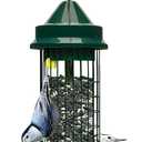 Squirrel Buster Classic Squirrel-proof Bird Feeder w/4 Feeding Ports, 2.4-pound Seed Capacity