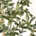 LYERSE Olive Trees Artificial Indoor - Faux Olive Tree 7ft with Olive Branches and Lifelike Fruits - Fake Olive Tree 7 Feet for Modern Home Office House Living Room Decor Indoor