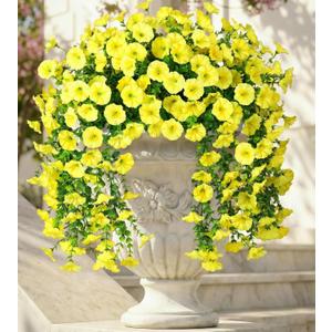 Ivydale 2 PCS Artificial Hanging Flowers Fake Plants Outdoor,Silk Morning Glory Faux Flowers with Eucalyptus Leaves,UV Resistant Realistic Hanging Petunias Plants for Home Garden Decor (Yellow)