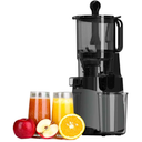 Cold Press Juicer, , 220W Slow Masticating Juicer Machine (Grey)