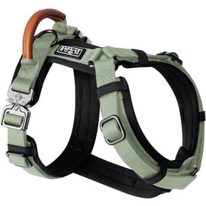 MADE TO ROAM Premium Explorer Harness - Y-Shaped Dog Harness with Adjustable Durable Nylon, Soft Padding, Metal Buckles and Leather Handle for Small, Medium, Large Dogs (Washington Rain, Size 3)