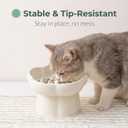 Ceramics Raised Slow Feeder Cat Bowl, Ceramic Elevated and Titled Food Bowl Small Dogs Slow Feeder, Flower Shaped Cute Cat Dish for Dry and Wet Food (Beige, 5.7")