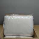Sealy Essentials Pillow, Standard, White 2 Count