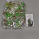 Wettarn 30 Sets Emotional Luminous Cactus Stress Ball Gifts Bulk Graduation Employee Appreciation Gift Cute Cactus Squeeze Funny Mini Stress Relief Ball Positive Cards for Teacher Coworker Nurse Staff (Green and Yellow)