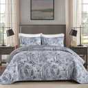 DJY Grey Quilt Set Queen Size Boho Bedspread Coverlet Set 3 Pieces, Soft Lightweight Microfiber Morandi Gray Paisley Floral Pattern Bedding Set for All Season, 96"x90