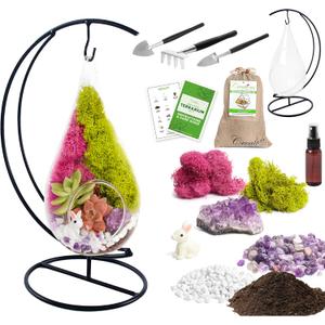 7" DIY Teardrop Terrarium Kit with Live Plants - Hanging Glass Planter with Stand for Adults & Kids - Build a Mini Ecosystem with Moss, Crystals, Tools - Made in The USA
