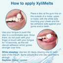 Oracoat XyliMelts for Dry Mouth Night Time or Day - Moisturizing Dry Mouth Adhering Discs, Sugar Free with Xylitol, 230 Count, Mild- Mint Flavor, 8-Hour Relief  (EXP: 08/2029)