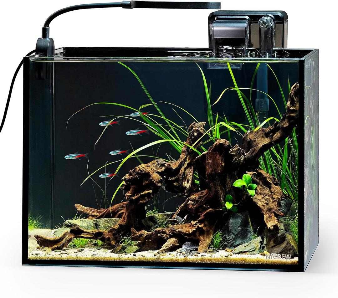 NICREW 2.5 Gallon Nano Nature Aquarium Kit, Ultra-Clear Rimless Desktop Fish Tank with Light and Filter, Perfect for Small Fish, Shrimp, or Betta, Basic Version, Black