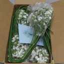 30 Pcs Babys Breath Artificial Flowers, Baby Breath Flowers Artificial Bulk, Real Touch White Fake Flowers, Faux Babies Breath Gypsophila for Wedding Home Decor Floral Arrangement