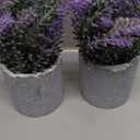 CADNLY Artificial Lavender Plant in Pots - Faux Lavender Flowers Decor  Fake Flowers Purple Decor Plant Potted Bathroom Bedroom Kitchen Farmhouse Home 2 Pack
