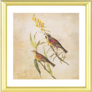 6x6 Picture Frame, Gold Aluminum Metal Square Photo Frame with HD Glass, Fits 5x5 with Mat or 6 x 6 without Mat, Display For Tabletop or Wall Collage, 1 Pack